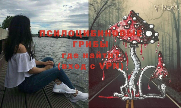 дурь Вязьма