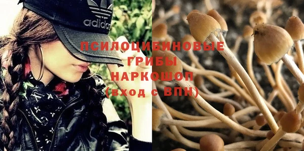 гашиш Володарск
