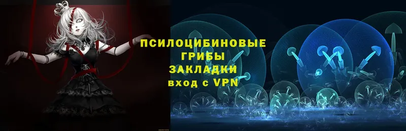 Галлюциногенные грибы ЛСД  Горбатов 